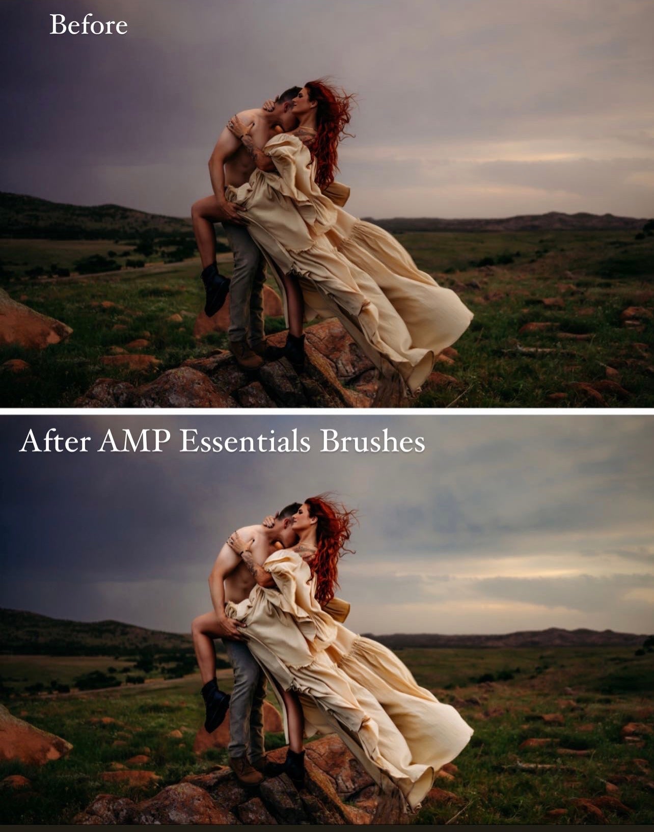 AMP- Essentials Brush Pack