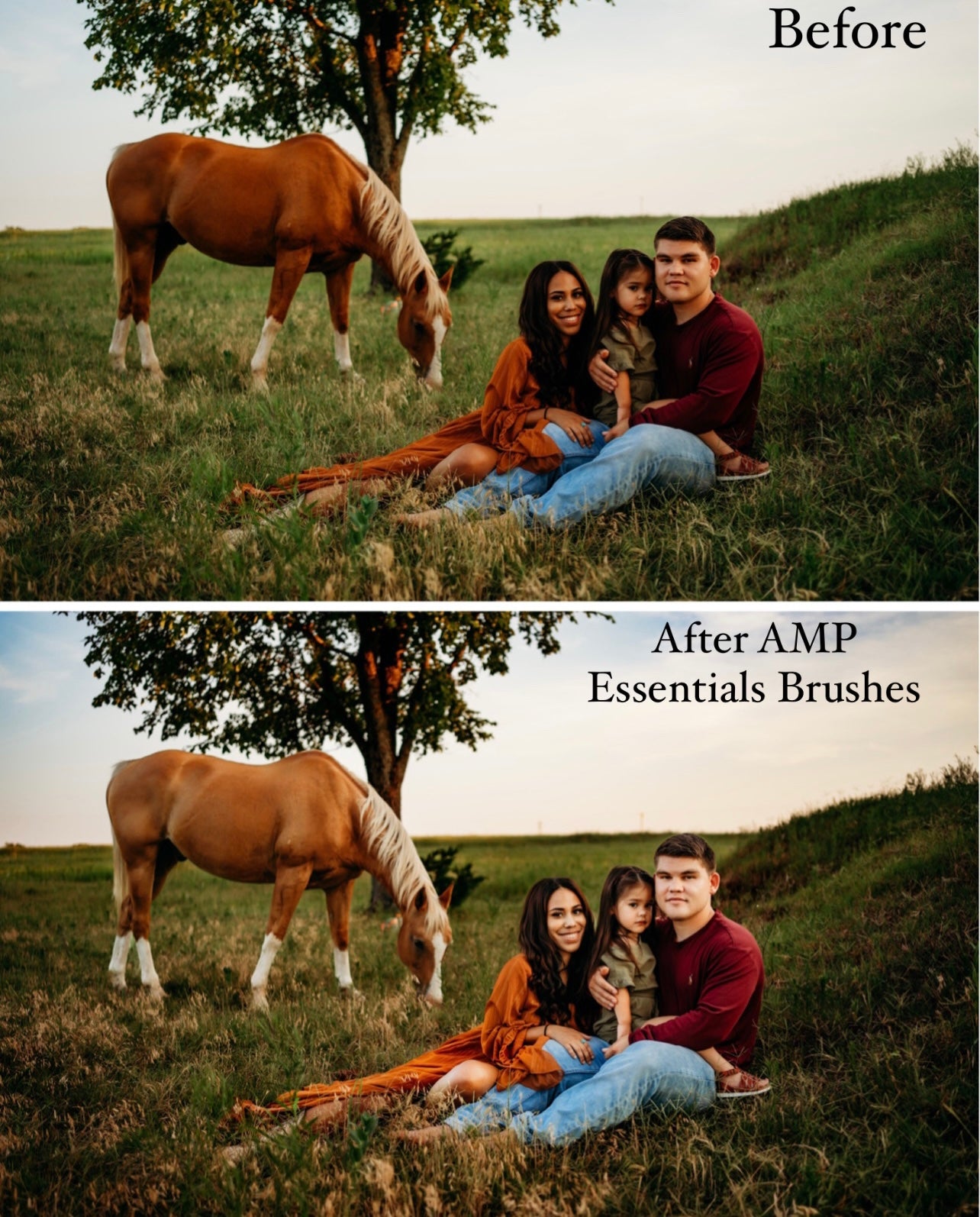 AMP- Essentials Brush Pack